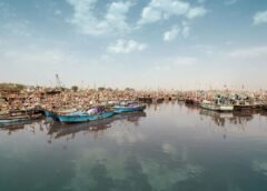 ભારતના સીફૂડ નિકાસને મજબૂત કરવા ગુજરાતની નવી પહેલ