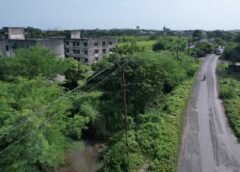 મધ્યમ વોલ્ટેજ કવર્ડ કંડક્ટર ટેકનોલોજી દ્વારા ગ્રામ્ય વિસ્તારોમાં વધુ ગુણવત્તાયુક્ત વીજ પૂરવઠો ઉપલબ્ધ કરાવવા તરફ DGVCLના મહત્વપૂર્ણ પ્રયત્નો