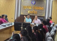 જિલ્લા વિકાસ અધિકારી સ્મિત લોઢાની અધ્યક્ષતા હેઠળ આઇસીડીએસ વિભાગની બેઠક યોજાઈ