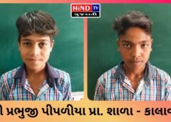 કાલાવડની શ્રી પ્રભુજી પીપળીયા પ્રા. શાળાનો ખેલ ક્ષેત્રે વધુ એક ગૌરવ: બે વિદ્યાર્થીઓની DLSSમાં પસંદગી