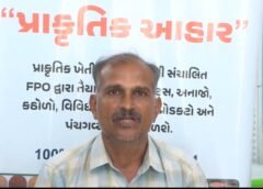 બજારમાં શુદ્ધ અને ઝેરમુક્ત આહાર મળવો એક મોટો પડકાર બન્યો છે