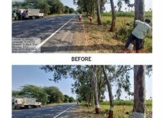 કોસંબા–માંગરોળ–ઝાંખવાવ માર્ગ પર વૃક્ષોના થડ પર ગેરુ તથા ચૂનાનું રંગકામ કરાયું; માર્ગની સુંદરતા અને દૃશ્યતામાં વધારો